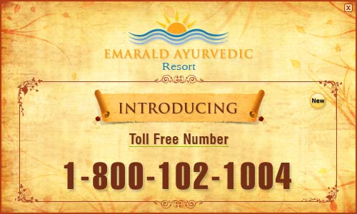 Introducing Toll Free Number